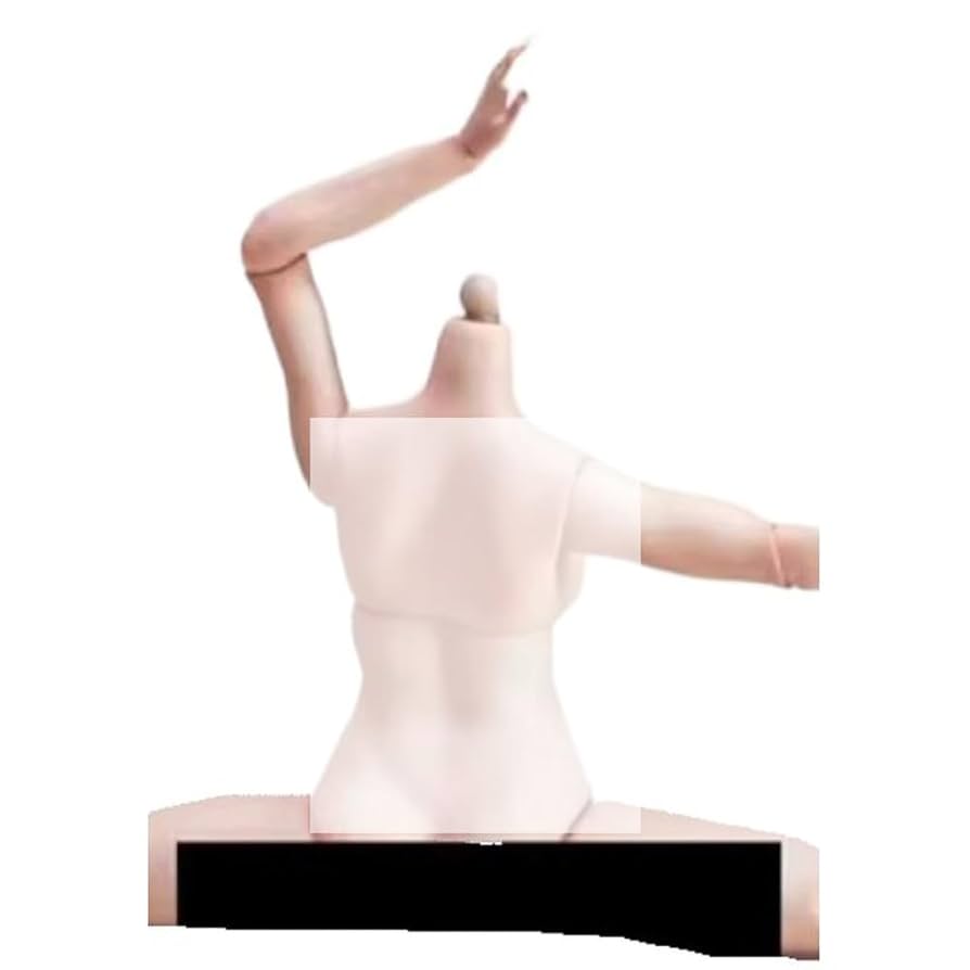 Amazon.com: YSBRING True1Toys 1/6 Scale Movable Female Body